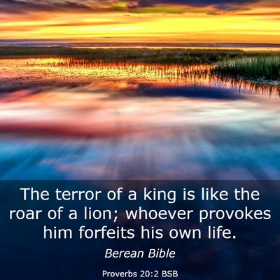 Picture 03 - Proverbs 20:2 BSB - The terror of a king is like the roar of a lion; - Bible Verse Picture