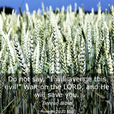 Picture 03 - Proverbs 20:22 BSB - Do not say, “I will avenge this evil!” Wait - Bible Verse Picture