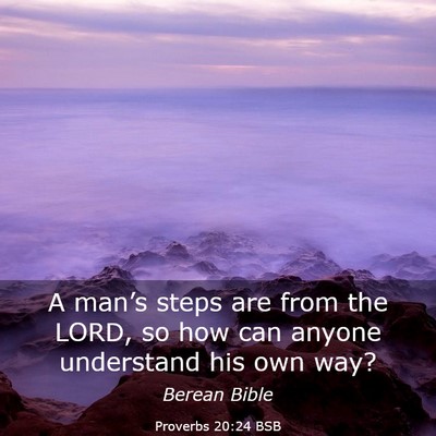 Picture 03 - Proverbs 20:24 BSB - A man’s steps are from the LORD, so how can - Bible Verse Picture