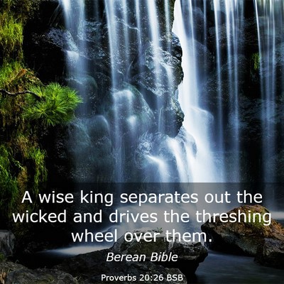 Picture 03 - Proverbs 20:26 BSB - A wise king separates out the wicked and drives - Bible Verse Picture