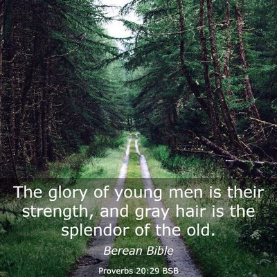 Picture 03 - Proverbs 20:29 BSB - The glory of young men is their strength, and - Bible Verse Picture