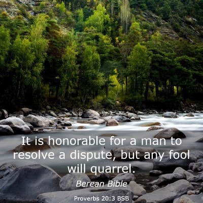 Picture 03 - Proverbs 20:3 BSB - It is honorable for a man to resolve a dispute, - Bible Verse Picture