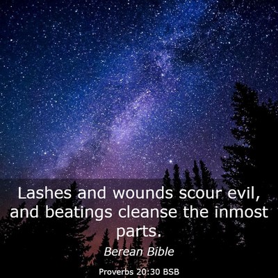 Picture 03 - Proverbs 20:30 BSB - Lashes and wounds scour evil, and beatings - Bible Verse Picture