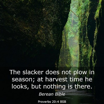 Picture 03 - Proverbs 20:4 BSB - The slacker does not plow in season; at harvest - Bible Verse Picture