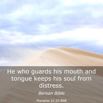 Picture 03 - Proverbs 21:23 BSB - He who guards his mouth and tongue keeps his soul - Bible Verse Picture