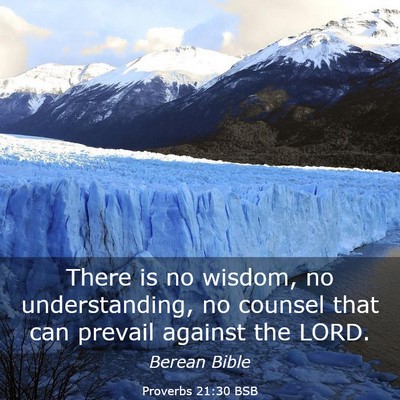 Picture 03 - Proverbs 21:30 BSB - There is no wisdom, no understanding, no counsel - Bible Verse Picture