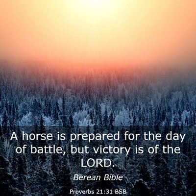 Picture 03 - Proverbs 21:31 BSB - A horse is prepared for the day of battle, but - Bible Verse Picture