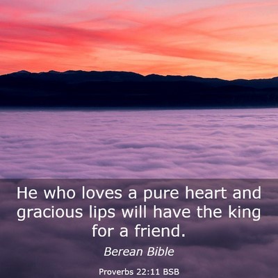 Picture 03 - Proverbs 22:11 BSB - He who loves a pure heart and gracious lips will - Bible Verse Picture