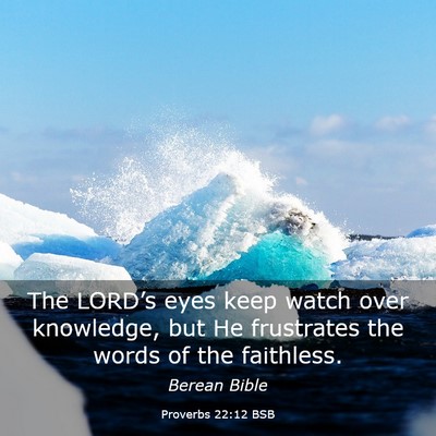 Picture 03 - Proverbs 22:12 BSB - The LORD’s eyes keep watch over knowledge, but - Bible Verse Picture