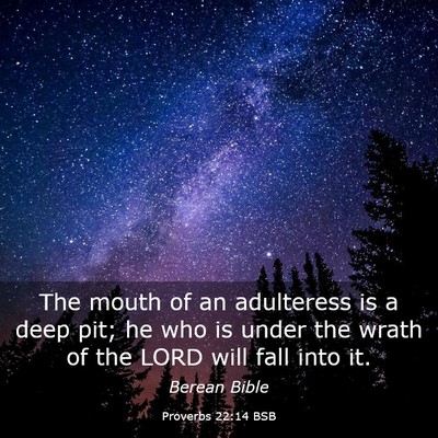 Picture 03 - Proverbs 22:14 BSB - The mouth of an adulteress is a deep pit; he who - Bible Verse Picture