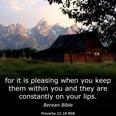 Picture 03 - Proverbs 22:18 BSB - for it is pleasing when you keep them within you - Bible Verse Picture