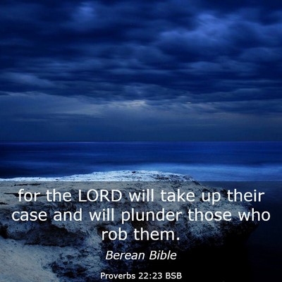 Picture 03 - Proverbs 22:23 BSB - for the LORD will take up their case and will - Bible Verse Picture