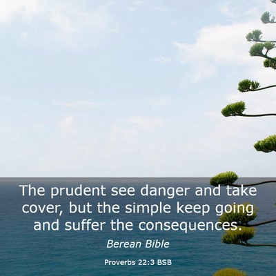 Picture 03 - Proverbs 22:3 BSB - The prudent see danger and take cover, but the - Bible Verse Picture