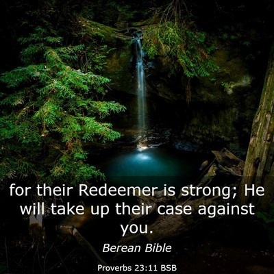 Picture 03 - Proverbs 23:11 BSB - for their Redeemer is strong; He will take up - Bible Verse Picture