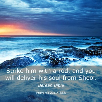 Picture 03 - Proverbs 23:14 BSB - Strike him with a rod, and you will deliver his - Bible Verse Picture