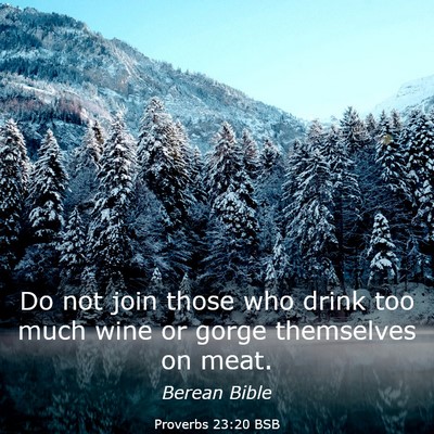 Picture 03 - Proverbs 23:20 BSB - Do not join those who drink too much wine or - Bible Verse Picture