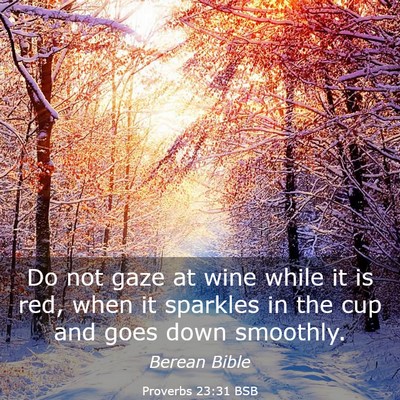 Picture 03 - Proverbs 23:31 BSB - Do not gaze at wine while it is red, when it - Bible Verse Picture