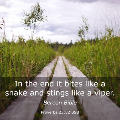 Picture 03 - Proverbs 23:32 BSB - In the end it bites like a snake and stings like - Bible Verse Picture