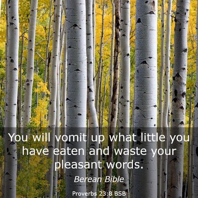 Picture 03 - Proverbs 23:8 BSB - You will vomit up what little you have eaten and - Bible Verse Picture