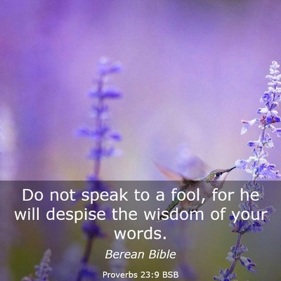 Picture 03 - Proverbs 23:9 BSB - Do not speak to a fool, for he will despise the - Bible Verse Picture