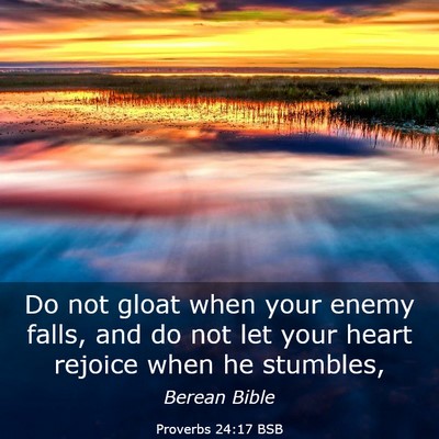 Picture 03 - Proverbs 24:17 BSB - Do not gloat when your enemy falls, and do not - Bible Verse Picture