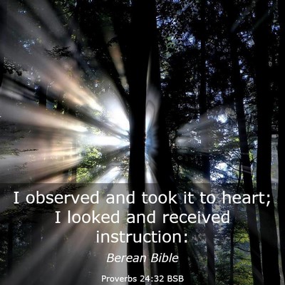 Picture 03 - Proverbs 24:32 BSB - I observed and took it to heart; I looked and - Bible Verse Picture