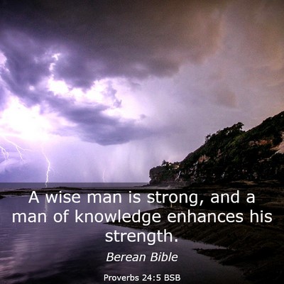 Picture 03 - Proverbs 24:5 BSB - A wise man is strong, and a man of knowledge - Bible Verse Picture