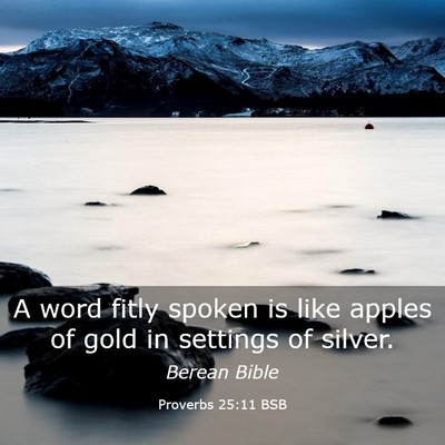 Picture 03 - Proverbs 25:11 BSB - A word fitly spoken is like apples of gold in - Bible Verse Picture