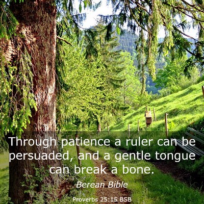Picture 03 - Proverbs 25:15 BSB - Through patience a ruler can be persuaded, and a - Bible Verse Picture