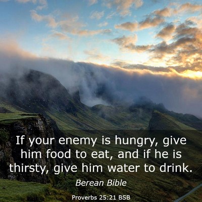 Picture 03 - Proverbs 25:21 BSB - If your enemy is hungry, give him food to eat, - Bible Verse Picture