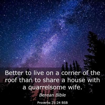 Picture 03 - Proverbs 25:24 BSB - Better to live on a corner of the roof than to - Bible Verse Picture