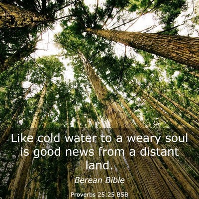 Picture 03 - Proverbs 25:25 BSB - Like cold water to a weary soul is good news from - Bible Verse Picture