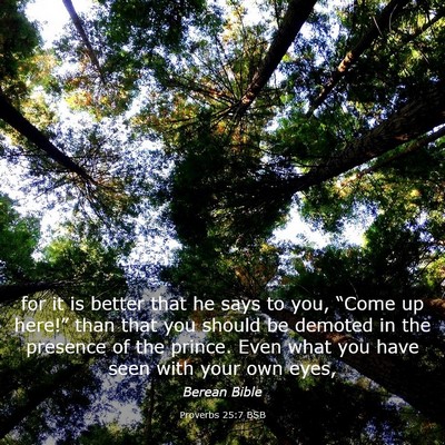 Picture 03 - Proverbs 25:7 BSB - for it is better that he says to you, “Come up - Bible Verse Picture