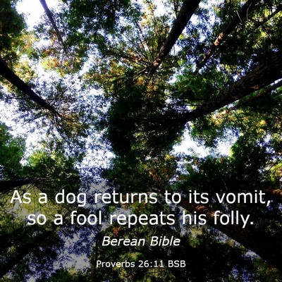 Picture 03 - Proverbs 26:11 BSB - As a dog returns to its vomit, so a fool repeats - Bible Verse Picture