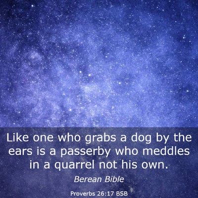 Picture 03 - Proverbs 26:17 BSB - Like one who grabs a dog by the ears is a - Bible Verse Picture