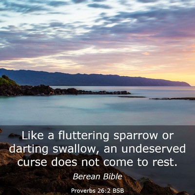 Picture 03 - Proverbs 26:2 BSB - Like a fluttering sparrow or darting swallow, an - Bible Verse Picture