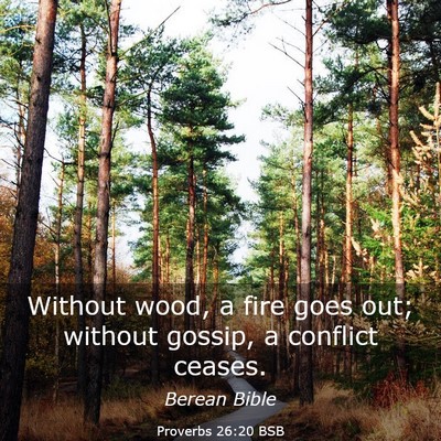 Picture 03 - Proverbs 26:20 BSB - Without wood, a fire goes out; without gossip, a - Bible Verse Picture