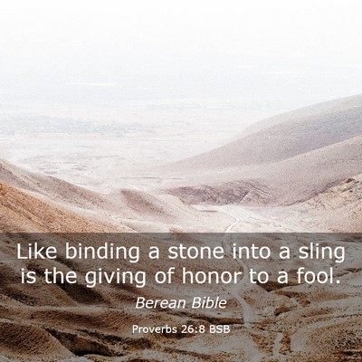 Picture 03 - Proverbs 26:8 BSB - Like binding a stone into a sling is the giving - Bible Verse Picture