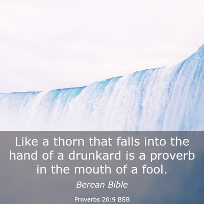 Picture 03 - Proverbs 26:9 BSB - Like a thorn that falls into the hand of a - Bible Verse Picture
