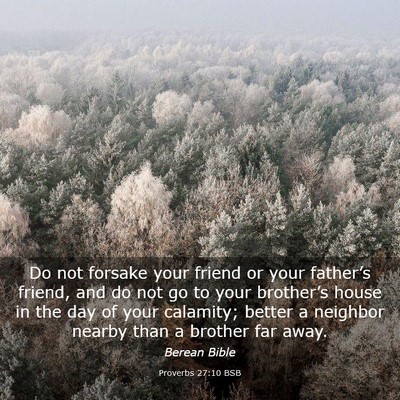 Picture 03 - Proverbs 27:10 BSB - Do not forsake your friend or your father’s - Bible Verse Picture