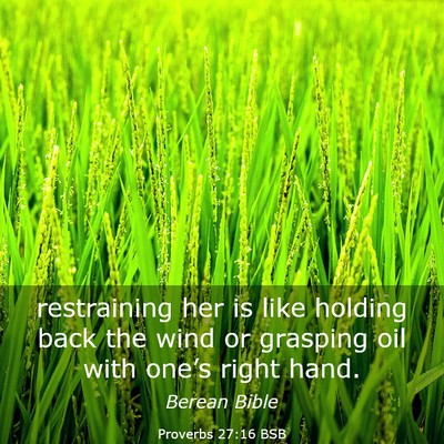 Picture 03 - Proverbs 27:16 BSB - restraining her is like holding back the wind or - Bible Verse Picture
