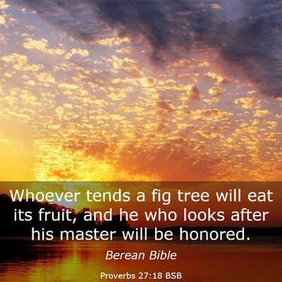 Picture 03 - Proverbs 27:18 BSB - Whoever tends a fig tree will eat its fruit, and - Bible Verse Picture