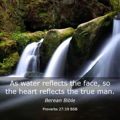 Picture 03 - Proverbs 27:19 BSB - As water reflects the face, so the heart reflects - Bible Verse Picture