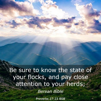 Picture 03 - Proverbs 27:23 BSB - Be sure to know the state of your flocks, and pay - Bible Verse Picture