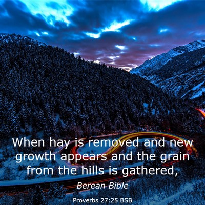 Picture 03 - Proverbs 27:25 BSB - When hay is removed and new growth appears and - Bible Verse Picture