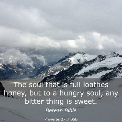 Picture 03 - Proverbs 27:7 BSB - The soul that is full loathes honey, but to a - Bible Verse Picture