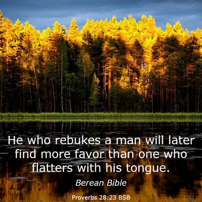 Picture 03 - Proverbs 28:23 BSB - He who rebukes a man will later find more favor - Bible Verse Picture