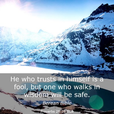 Picture 03 - Proverbs 28:26 BSB - He who trusts in himself is a fool, but one who - Bible Verse Picture