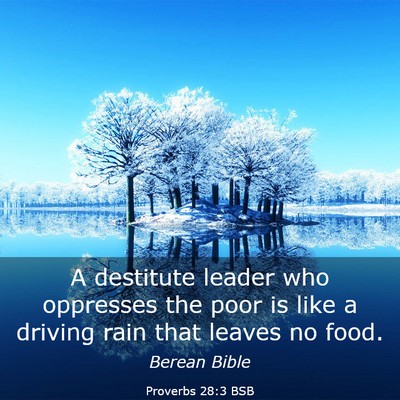 Picture 03 - Proverbs 28:3 BSB - A destitute leader who oppresses the poor is like - Bible Verse Picture