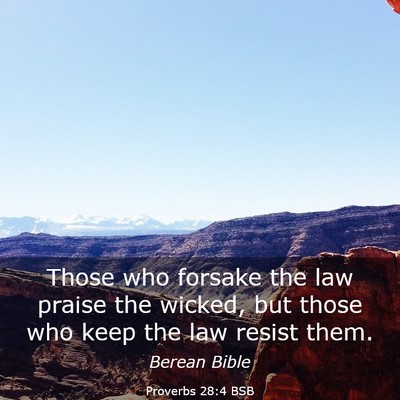 Picture 03 - Proverbs 28:4 BSB - Those who forsake the law praise the wicked, but - Bible Verse Picture